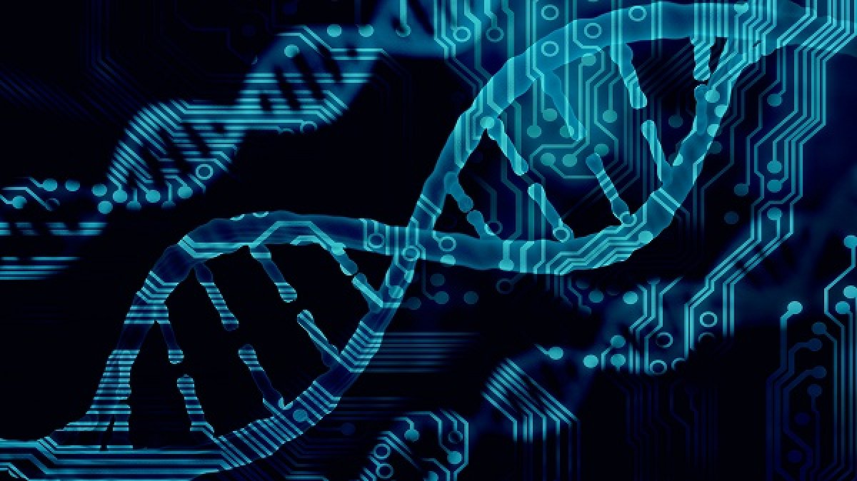5ème Workshop dedicato alla Bioinformatica