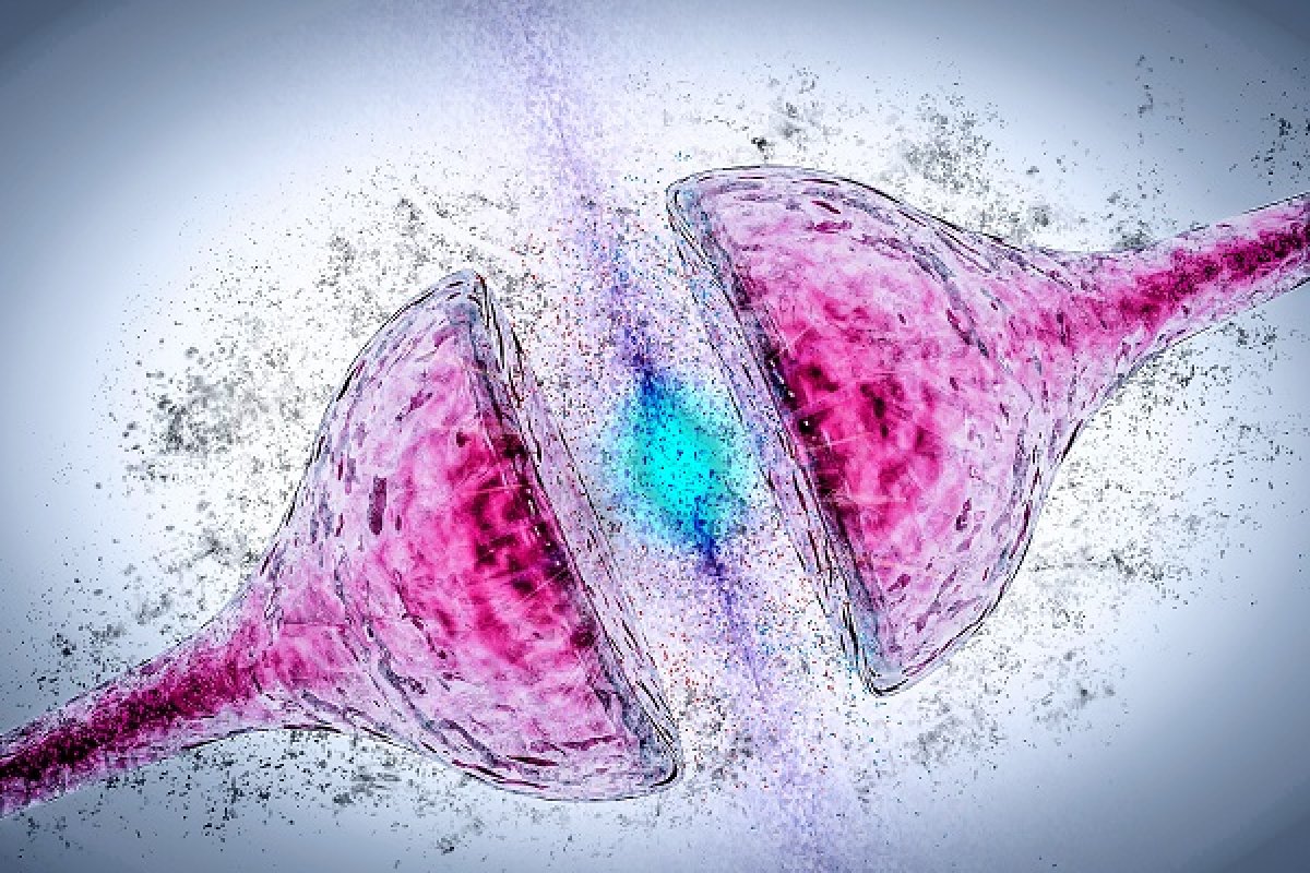 ExonHit, dati promettenti sull'utilizzo di biomarcatori genomici