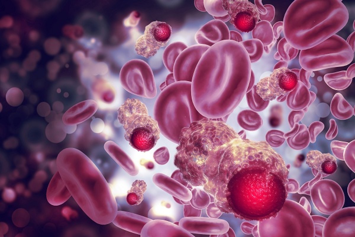Hybrigenics annuncia risultati preclinici promettenti per l'inecalcitolo