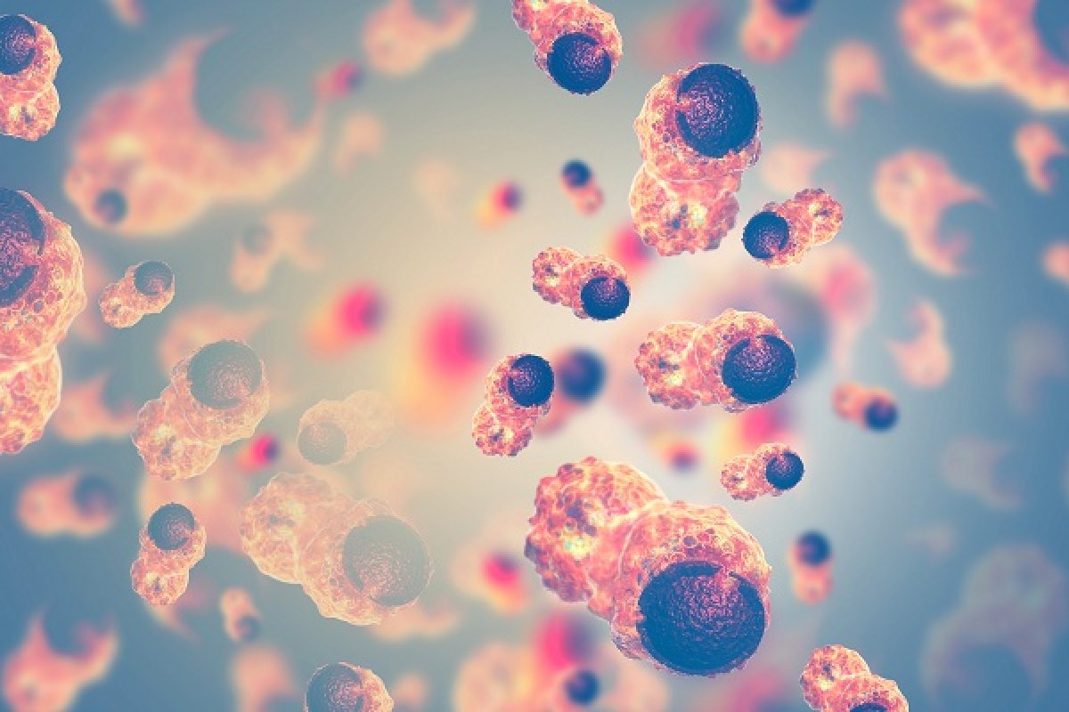 Ponti verso l'efficacia della diagnosi e delle terapie del cancro