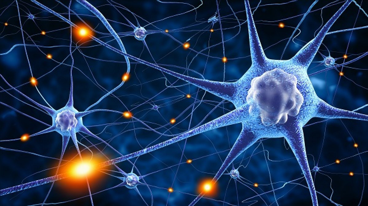 Rhenovia consolida la propria tecnologia di simulazione delle patologie del sistema nervoso