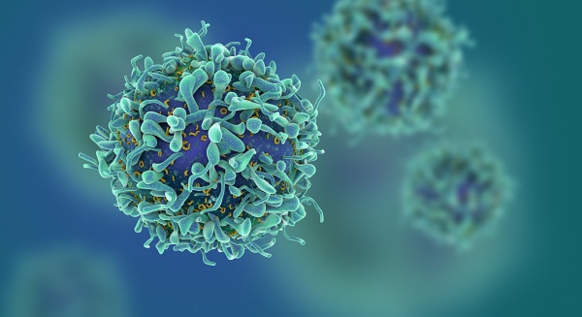 TARGETOME, spin-off del GIGA, conduce la guerra mirata contro il cancro
