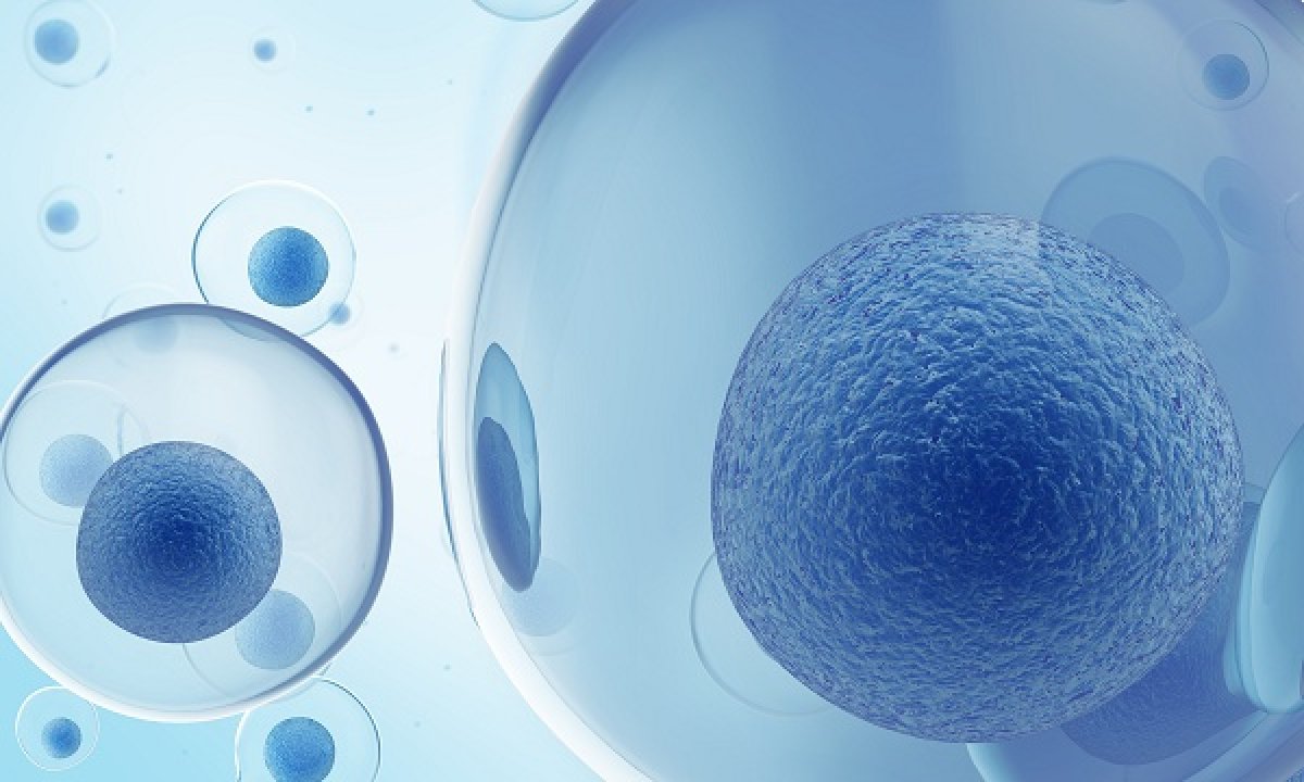 TxCell nomina Miguel Forte Chief Medical Officer