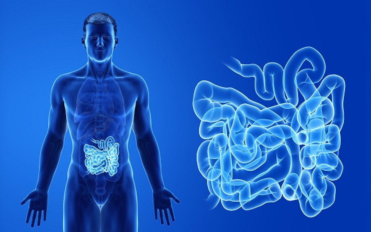 TxCell ottiene l'autorizzazione a estendere il proprio studio sulla malattia di Crohn